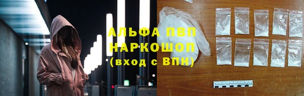PSILOCYBIN Алзамай