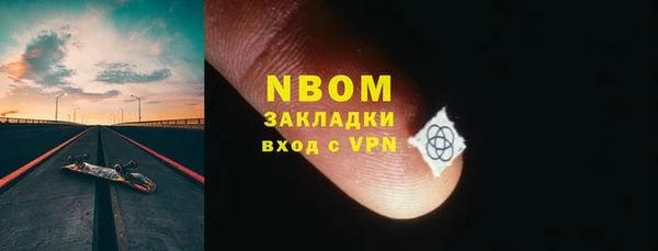 PSILOCYBIN Алзамай