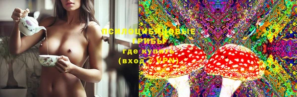 PSILOCYBIN Алзамай