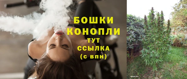 дмт Протвино